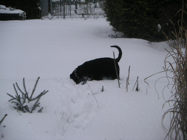 Bild 392.jpg